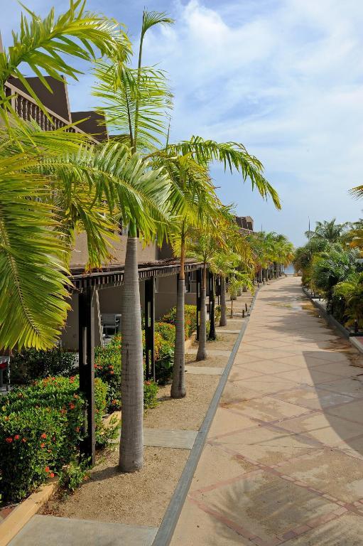 Eden Beach Resort - Bonaire Kralendijk na wyspie Bonaire Pokój zdjęcie